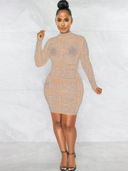 Rhinestone Mesh Long Sleeve Bodycon Mini Dress