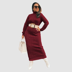 Solid Color Turtleneck Knit Dress