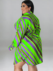 Long Sleeve Striped Mini Dress With Belt