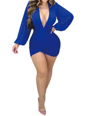 Mesh Long Sleeve Ruched Bodycon Mini Dress