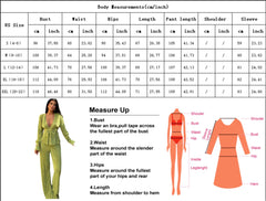 Two Piece Pleated Shirt Wide Leg Pants