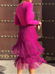 Tassels Long Sleeve Mesh Patchwork Midi Dress