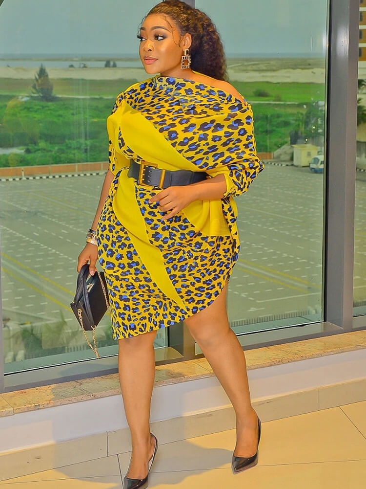 Long Sleeve Asymmetrical Leopard Print Mini Dress