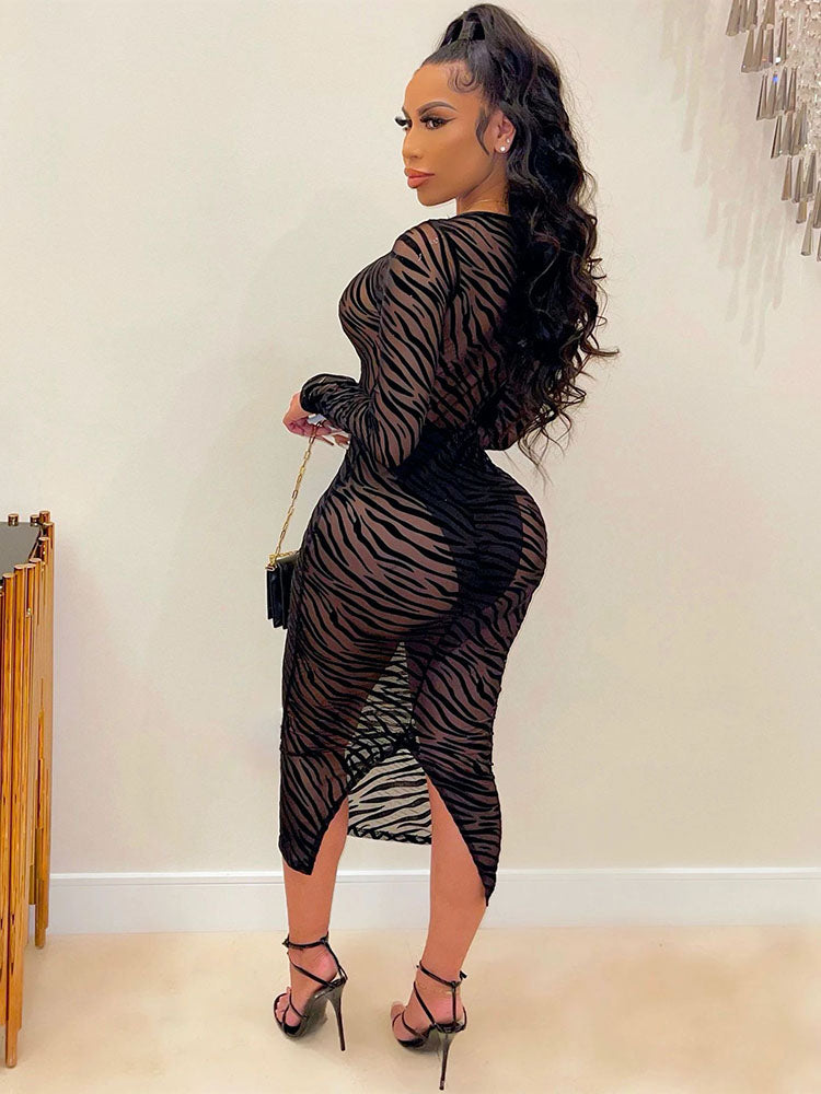 Long Sleeves Mesh Maxi Dress