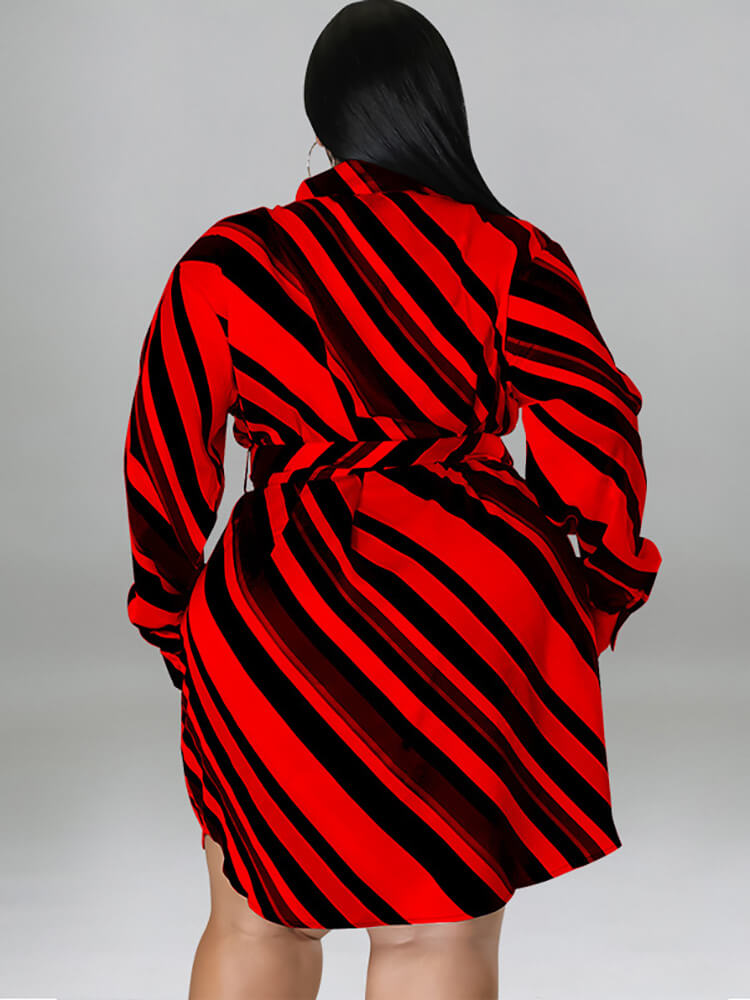 Long Sleeve Striped Mini Dress With Belt