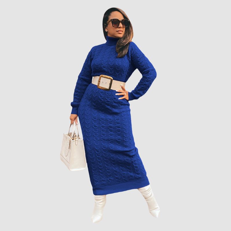 Solid Color Turtleneck Knit Dress