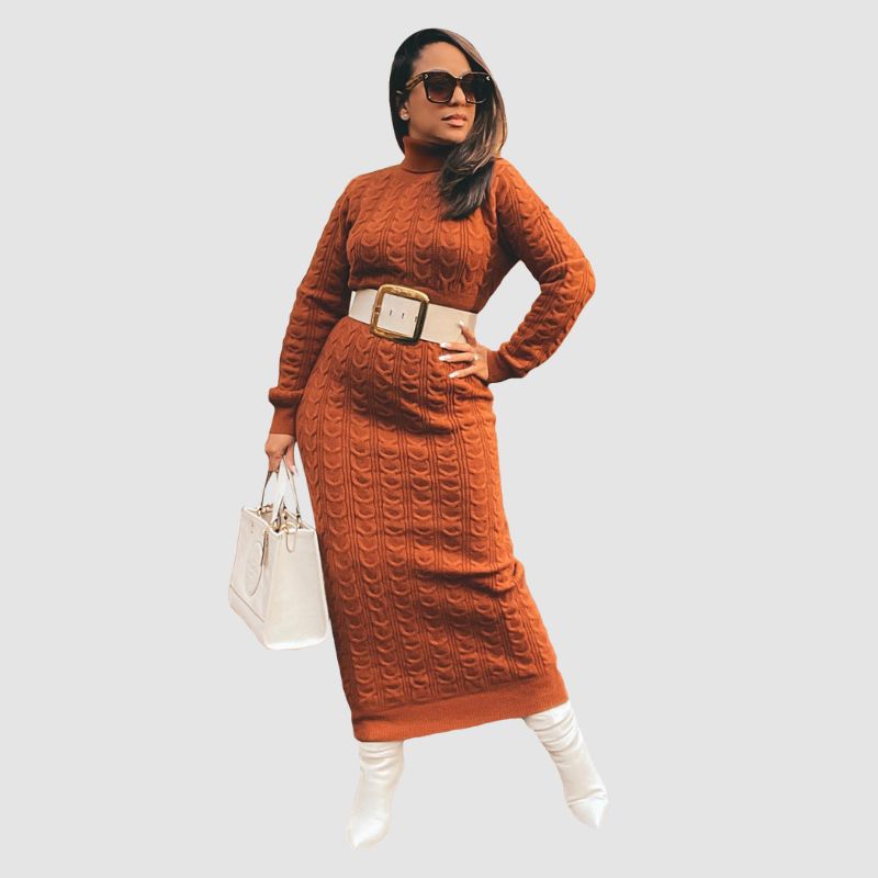 Solid Color Turtleneck Knit Dress