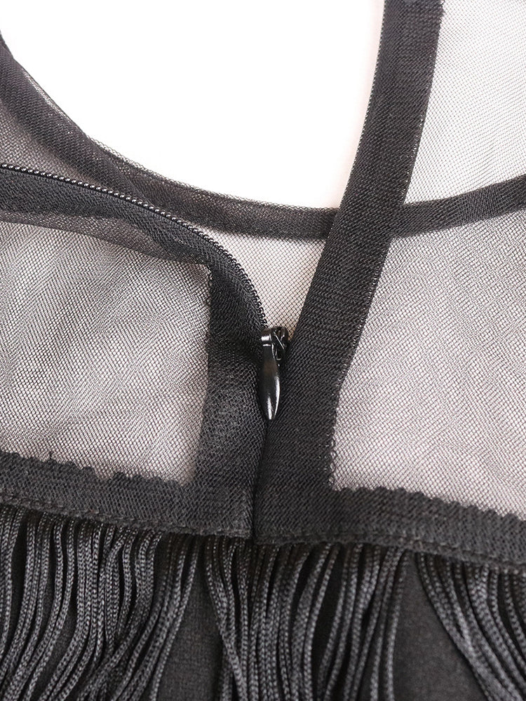 Plus Size Mesh Side Slit Tassel Fringe Dress