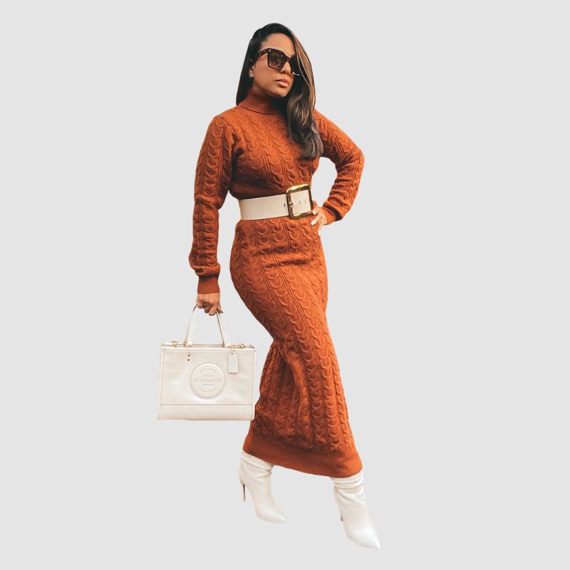 Solid Color Turtleneck Knit Dress