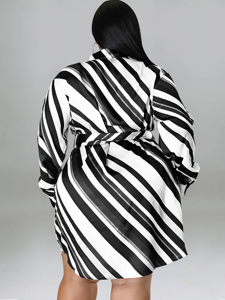 Long Sleeve Striped Mini Dress With Belt