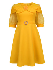 Bow Tie Sheer Lantern Sleeve Party A-Line Dress