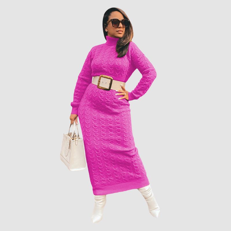 Solid Color Turtleneck Knit Dress
