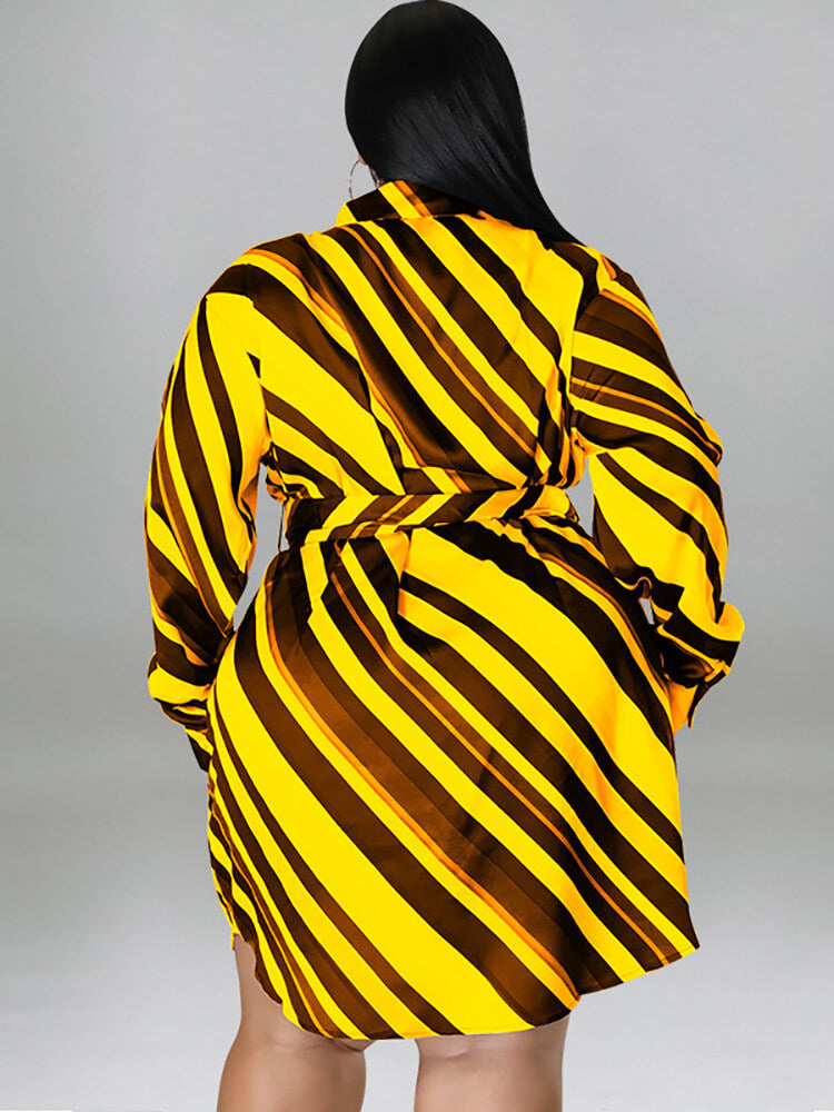 Long Sleeve Striped Mini Dress With Belt