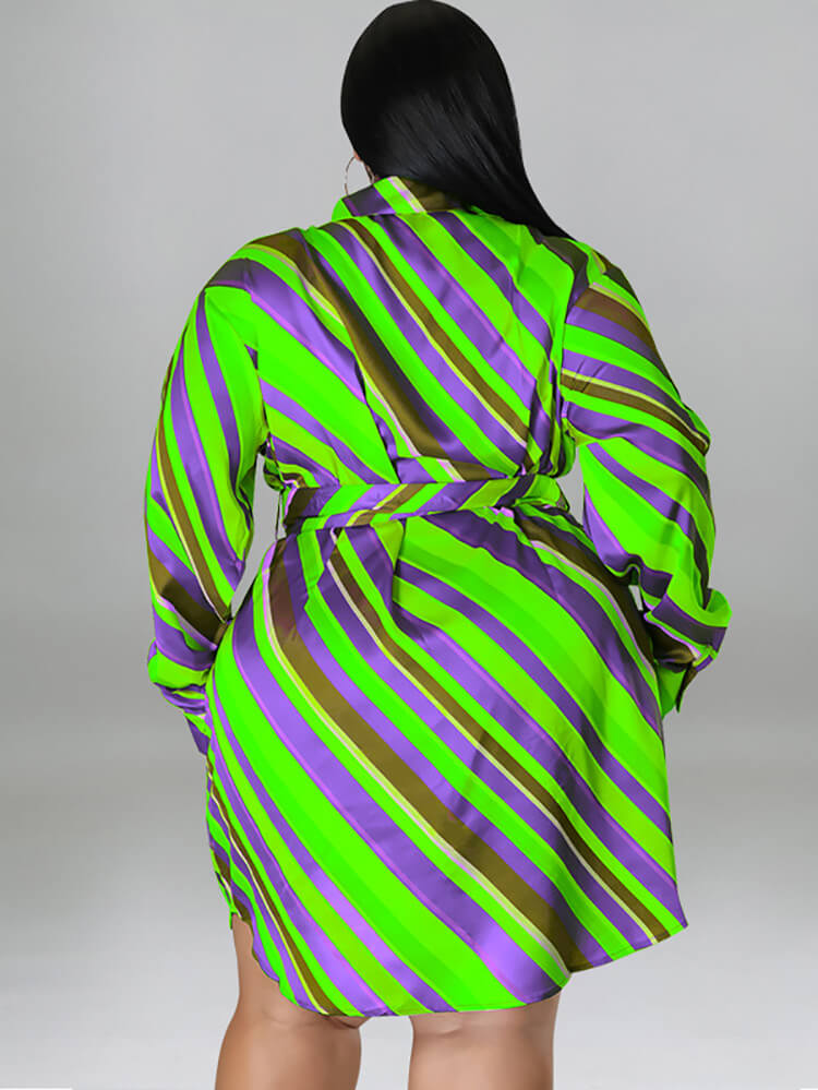 Long Sleeve Striped Mini Dress With Belt