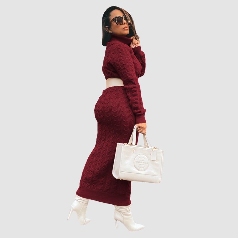 Solid Color Turtleneck Knit Dress