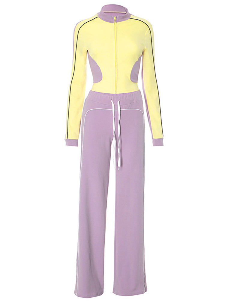 Stand Collar Slim Fit Fitness Jacket and Shorts Set