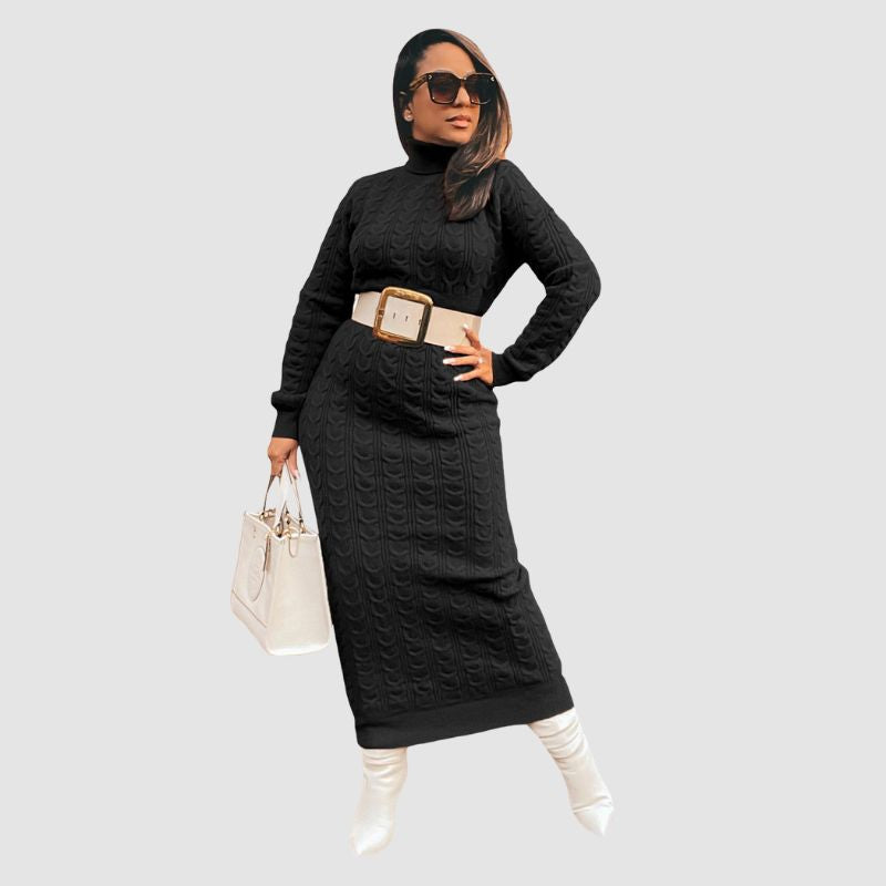 Solid Color Turtleneck Knit Dress
