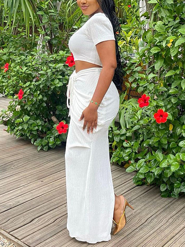 Two Pieces Crop Top Pleated Skirt Sets
