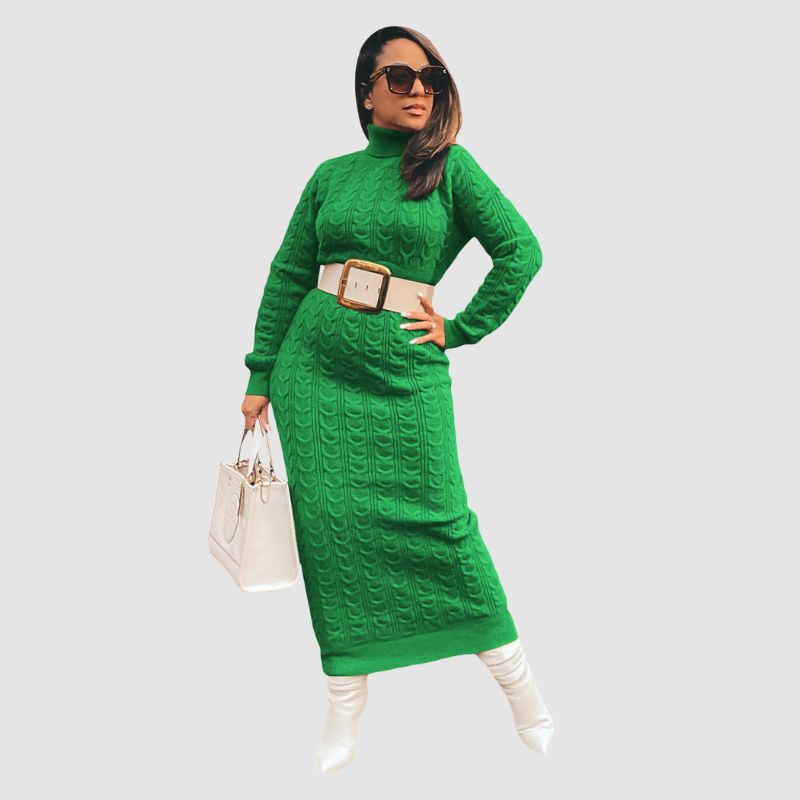 Solid Color Turtleneck Knit Dress