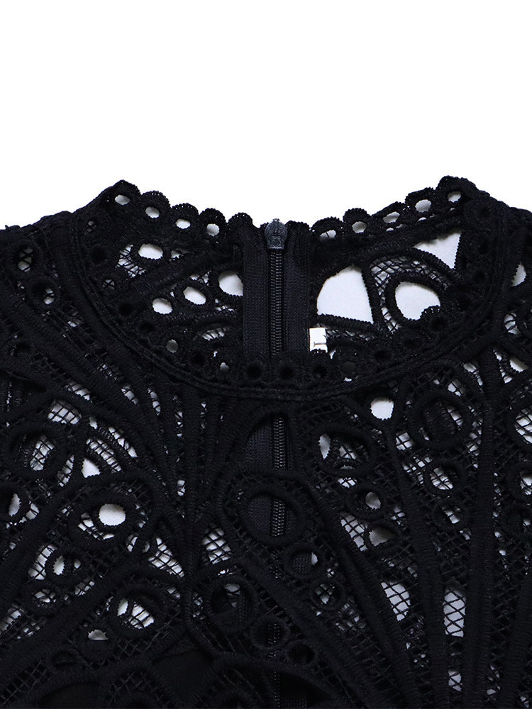 Plus Size Lace Hollow Out Pleated Dress