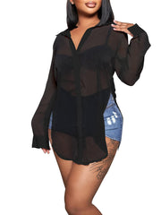 Mesh Long Sleeve Button Down Slit Blouse Top