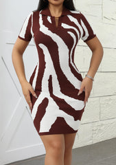 Knit V Neck Zebra Striped Mini Dress