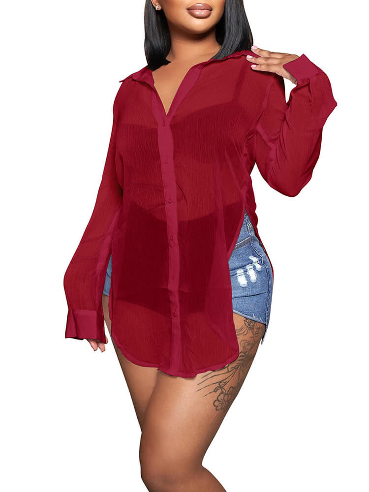 Mesh Long Sleeve Button Down Slit Top