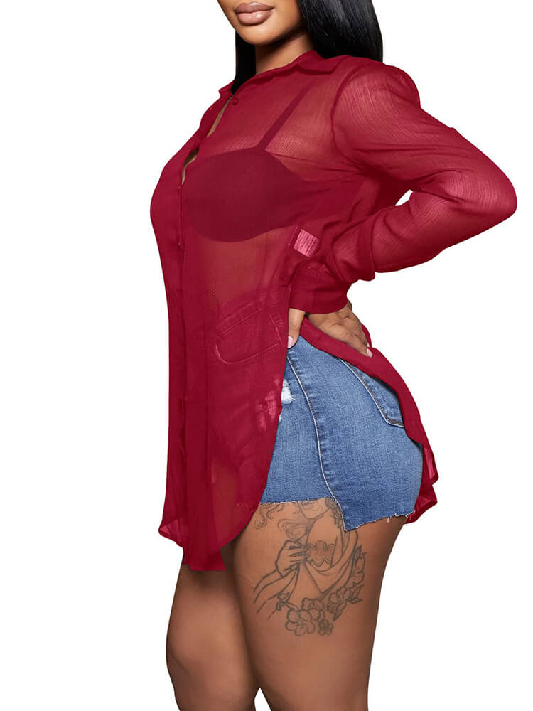 Mesh Long Sleeve Button Down Slit Blouse Top