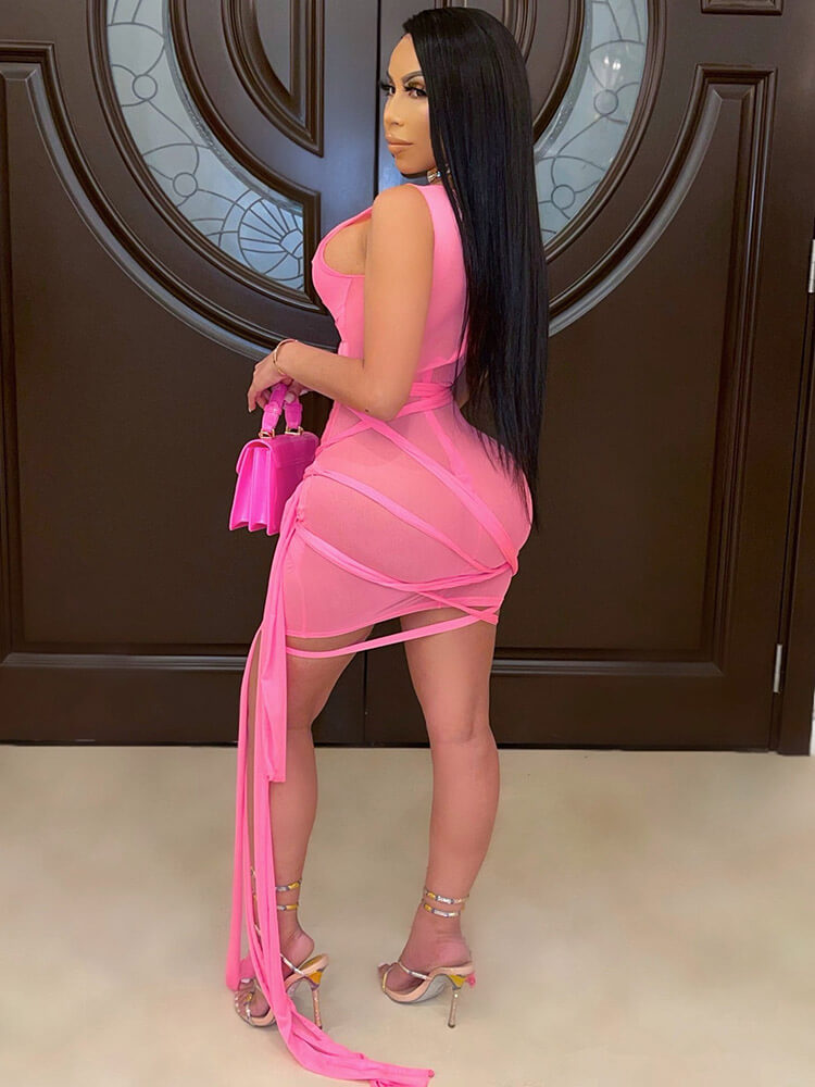 Sheer Mesh Sleeveless Bodycon Mini Dress