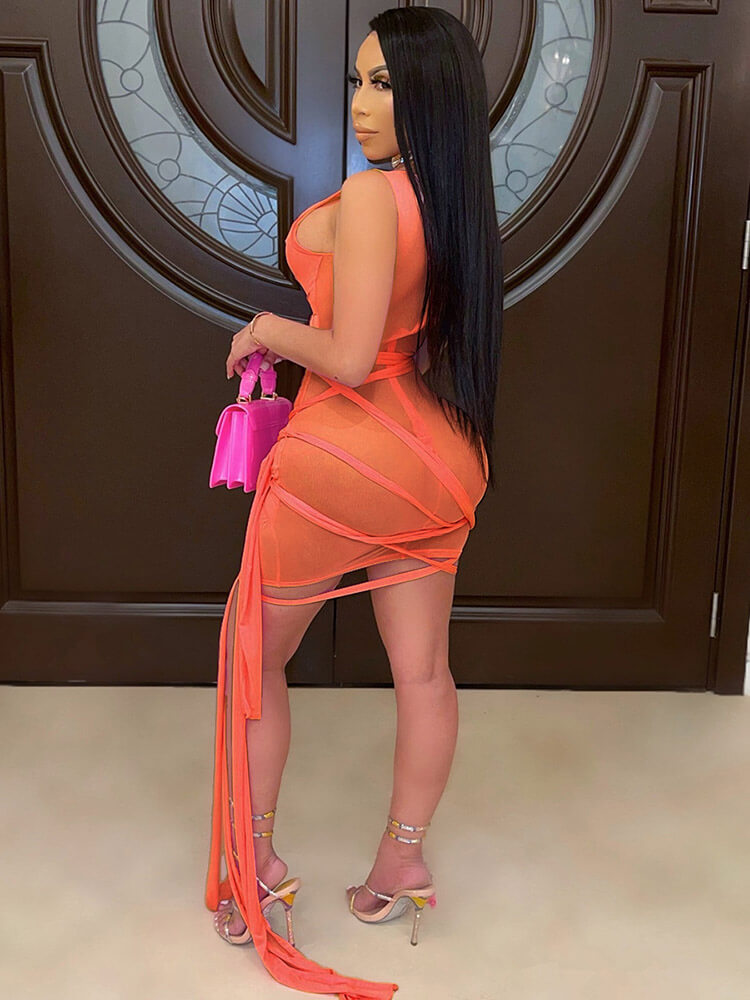 Sheer Mesh Sleeveless Bodycon Mini Dress